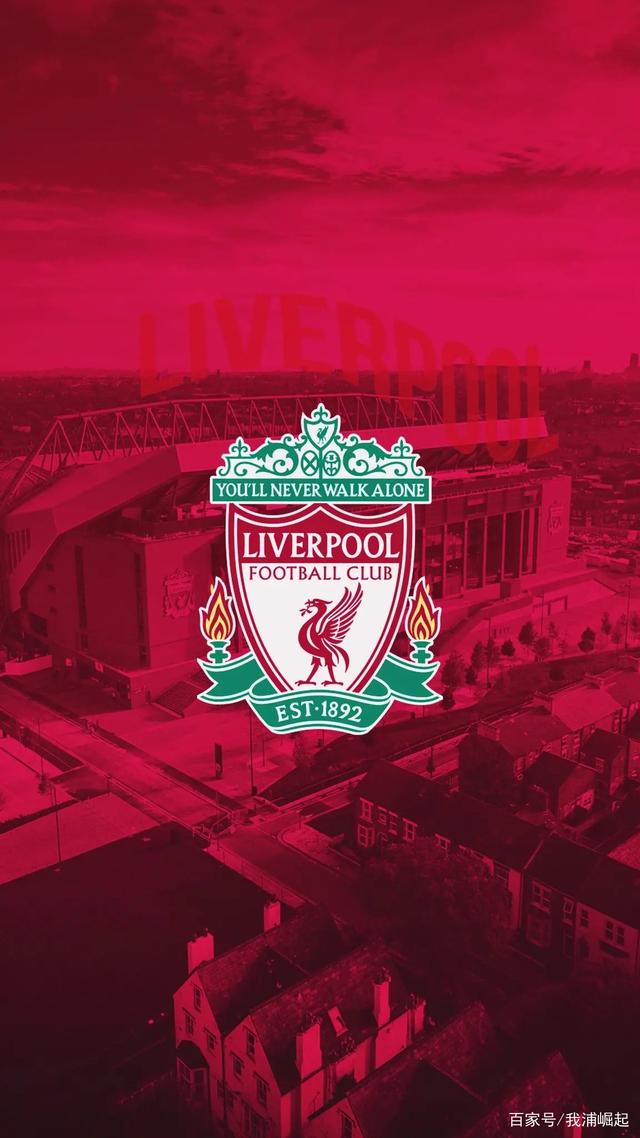 它更多反映 它更多反映