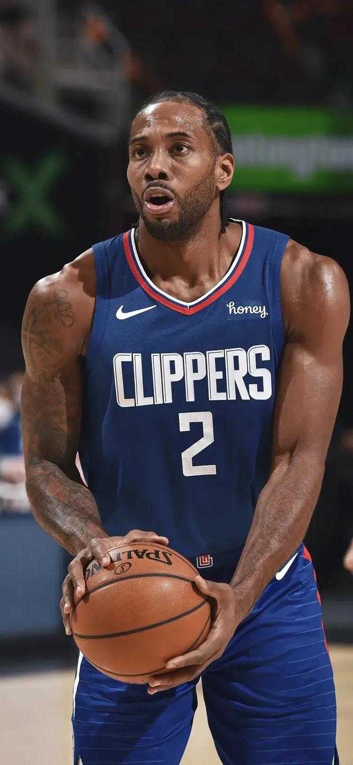 术趋势的风 术趋势的风